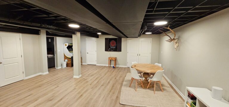 Home Remodeling Park Ridge - basement remodeling - after